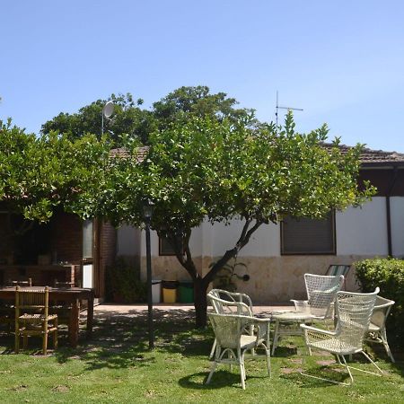 Casa Unifamiliar Con Jard N Privado Villa Agnone Bagni Exteriör bild